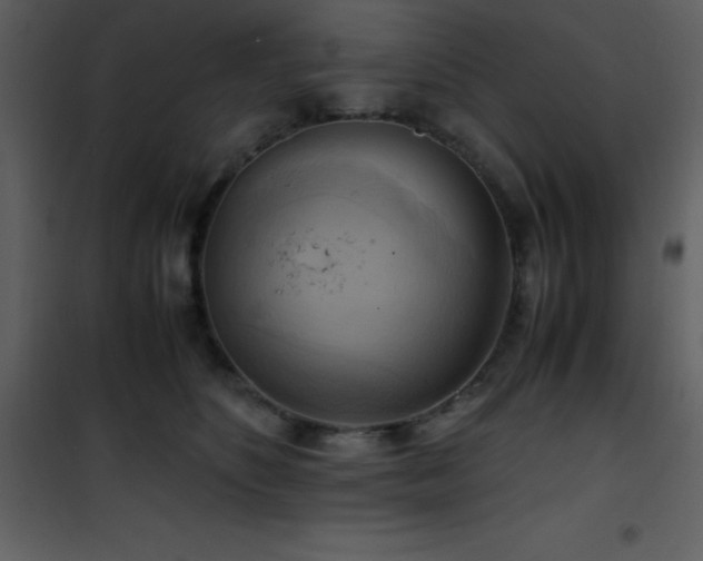 X0000102010516200807181231