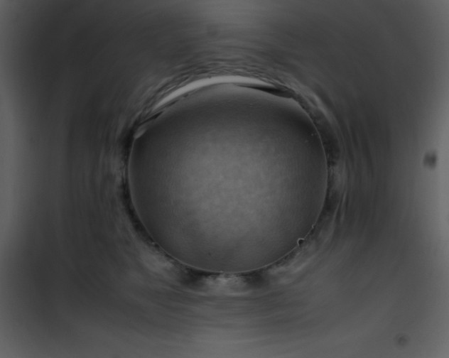 X0000102010517200807181231