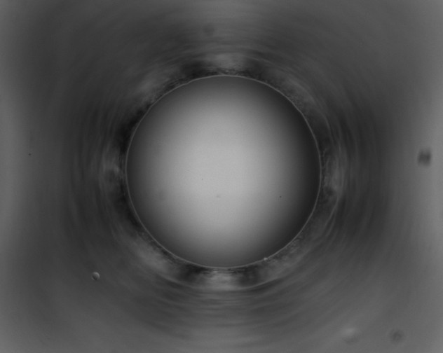 X0000102010518200807181231