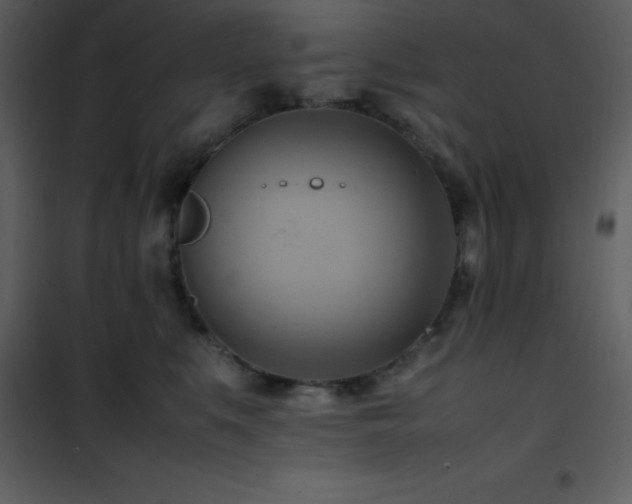 X0000102010519200807181231