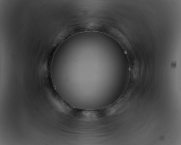 X0000102010520200807181231