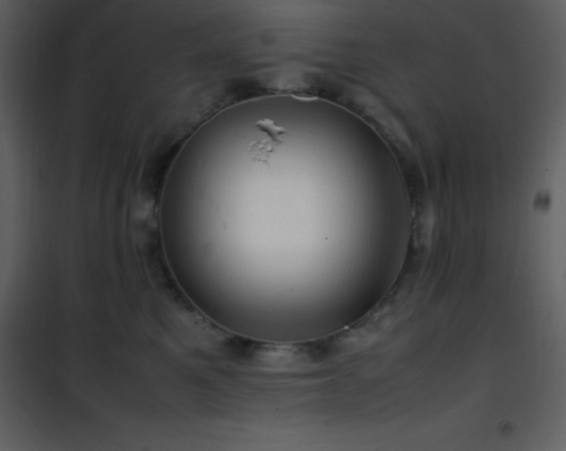 X0000102010521200807181231