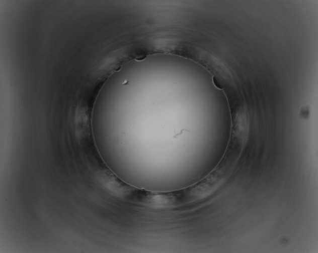 X0000102010522200807181231