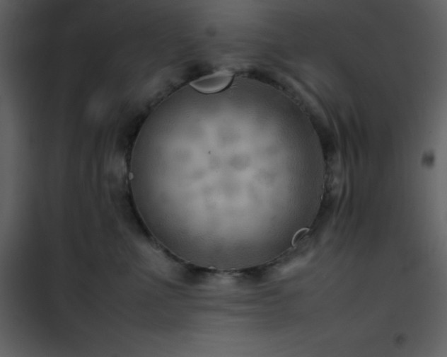X0000102010523200807181231