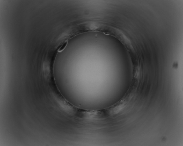 X0000102010524200807181231