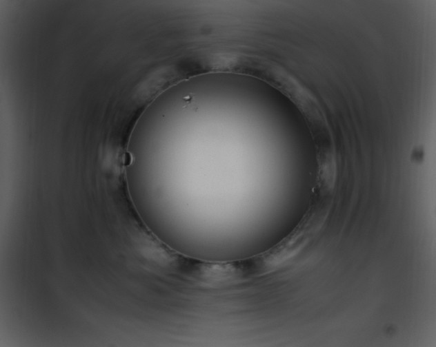 X0000102010525200807181231