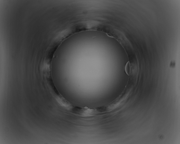 X0000102010527200807181231