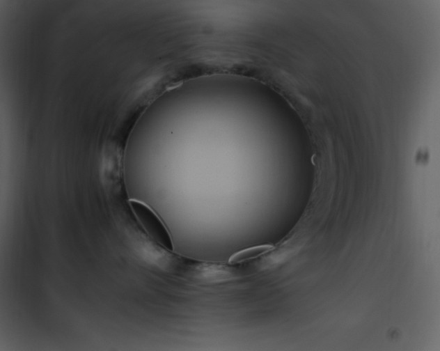 X0000102010528200807181231