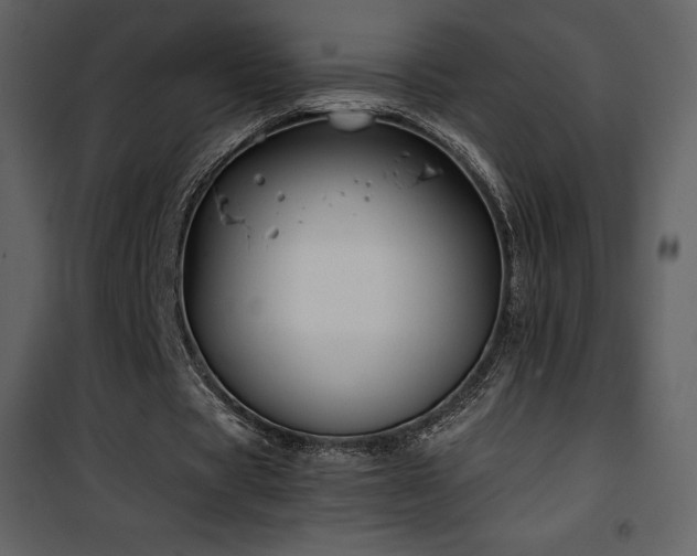 X0000102010529200807181230