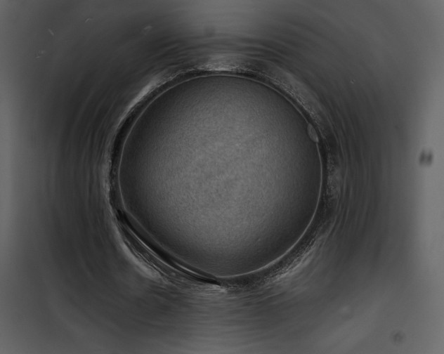 X0000102010530200807181230