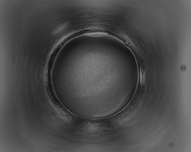 X0000102010531200807181230
