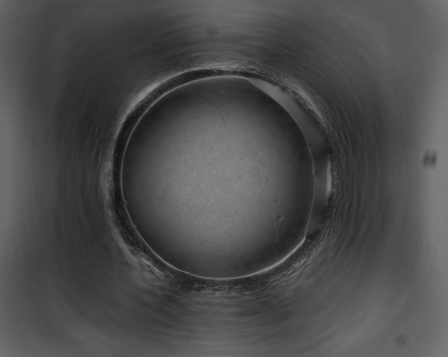 X0000102010532200807181230