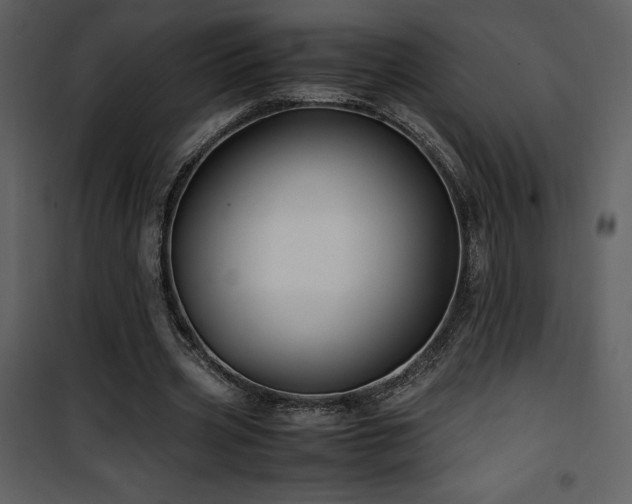 X0000102010533200807181230