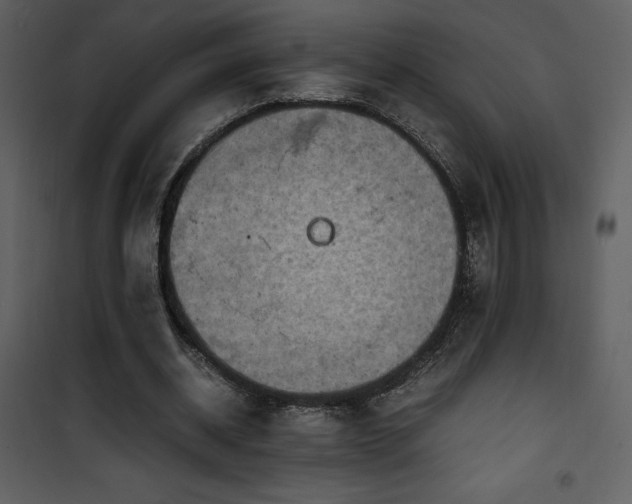 X0000102010534200807181230