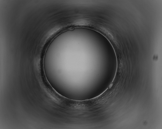 X0000102010535200807181230