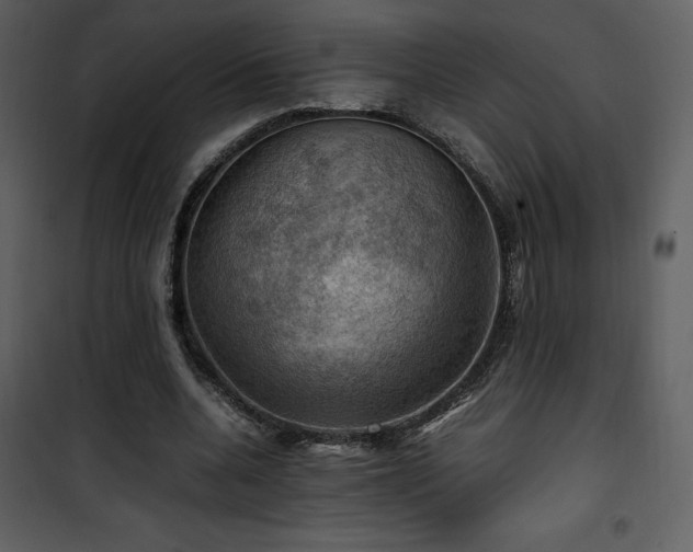 X0000102010536200807181230