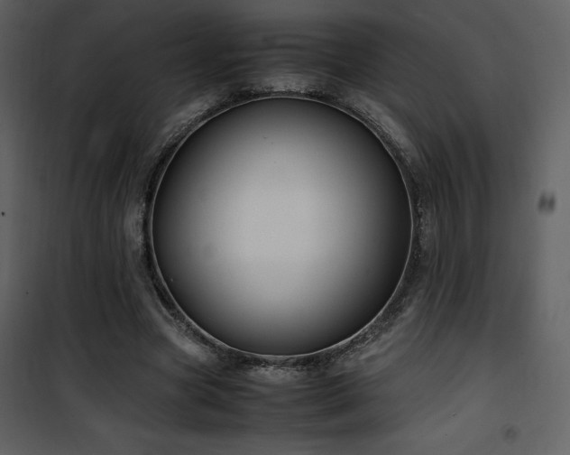 X0000102010537200807181230
