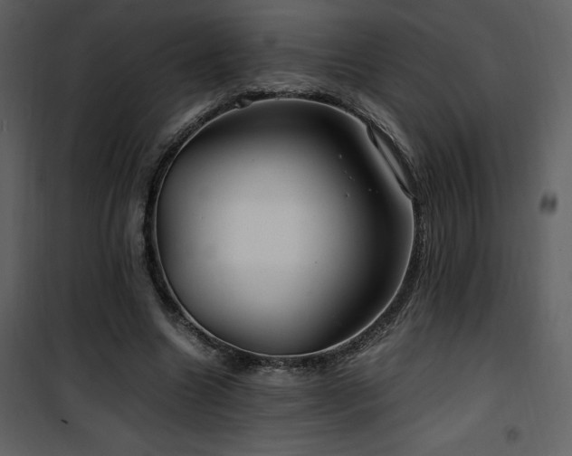 X0000102010538200807181230