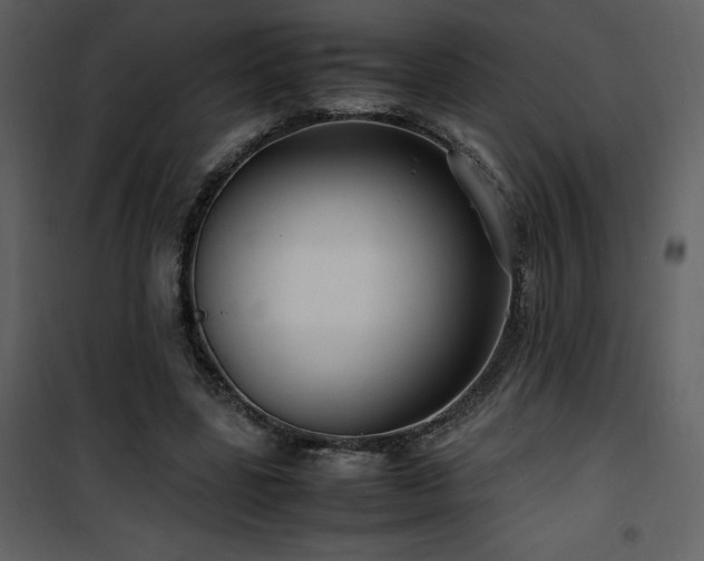 X0000102010539200807181230