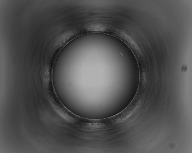 X0000102010541200807181230