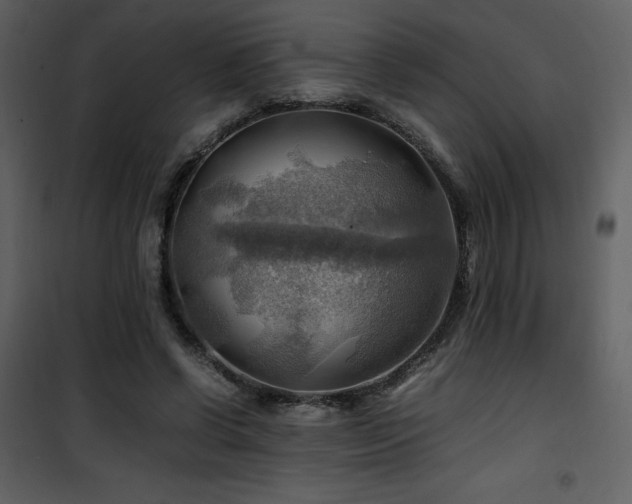 X0000102010542200807181230