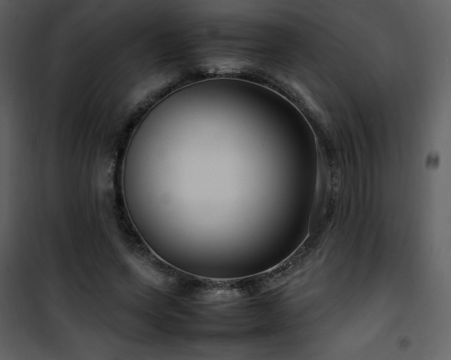 X0000102010543200807181230