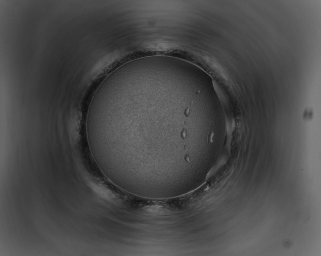 X0000102010544200807181230