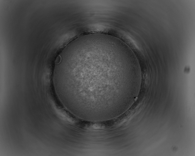 X0000102010546200807181230