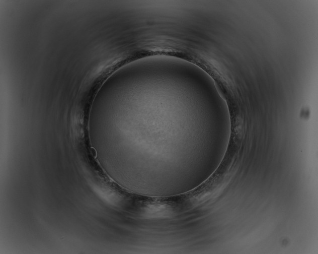 X0000102010547200807181230