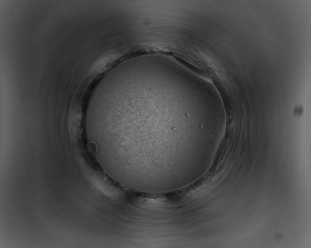 X0000102010548200807181230