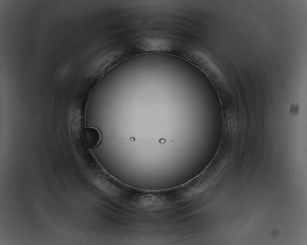 X0000102010549200807181230