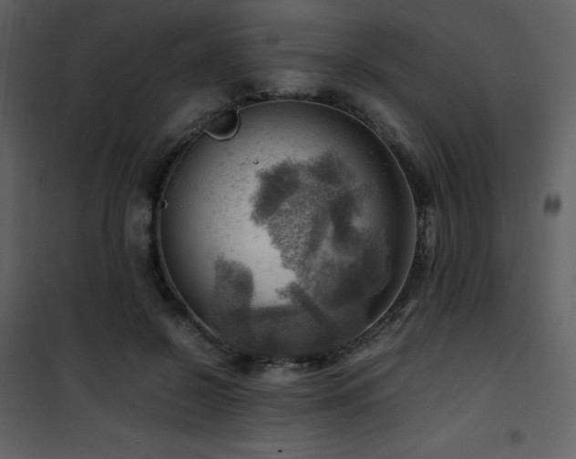 X0000102010550200807181230