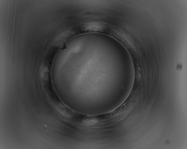 X0000102010551200807181231