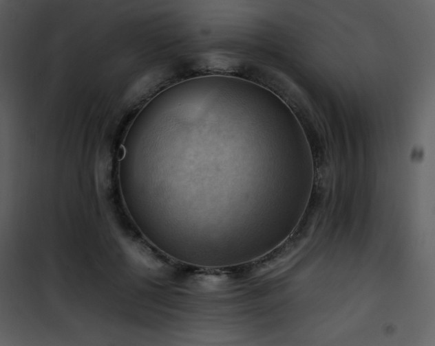 X0000102010552200807181231
