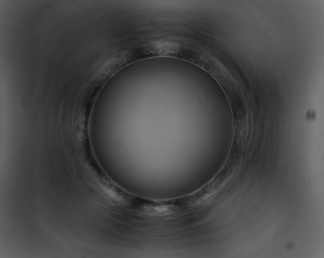 X0000102010553200807181231