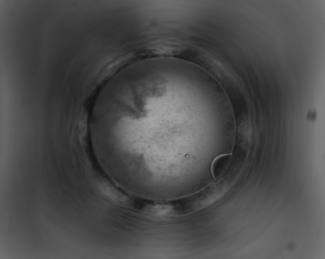 X0000102010554200807181231