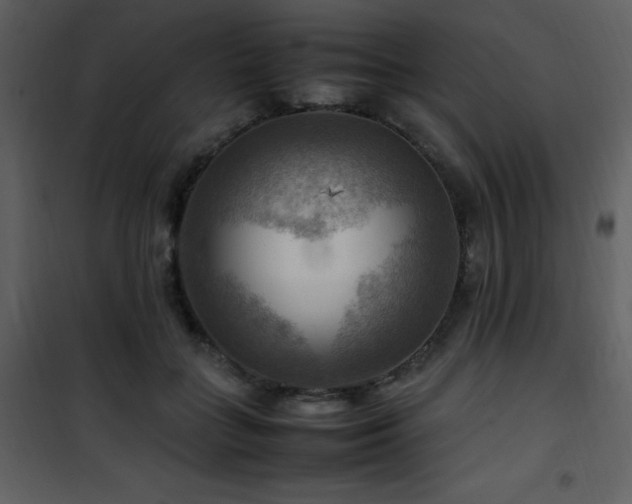 X0000102010555200807181231