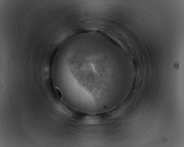 X0000102010556200807181231