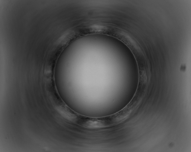 X0000102010557200807181231