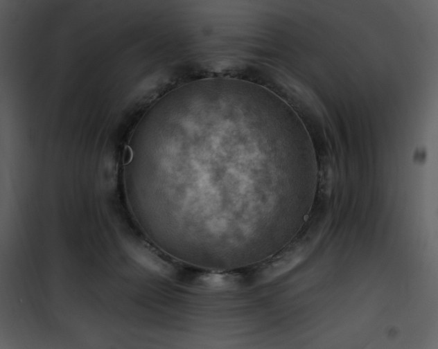 X0000102010558200807181231