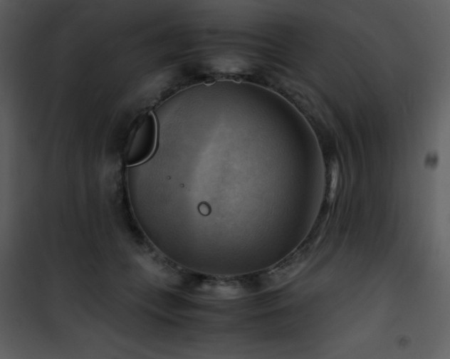 X0000102010559200807181231