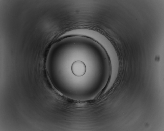 X0000102010560200807181231