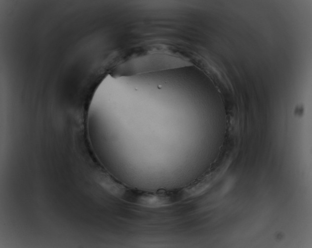 X0000102010561200807181231