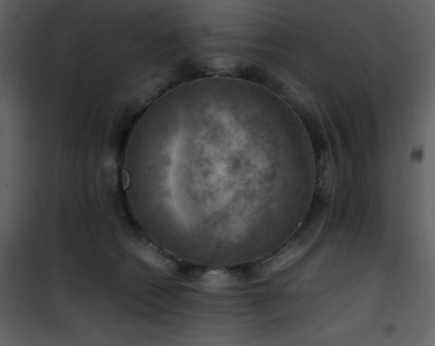 X0000102010562200807181231