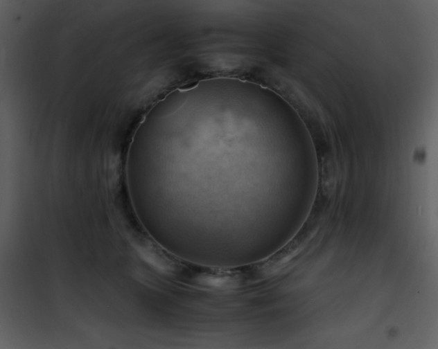 X0000102010563200807181231