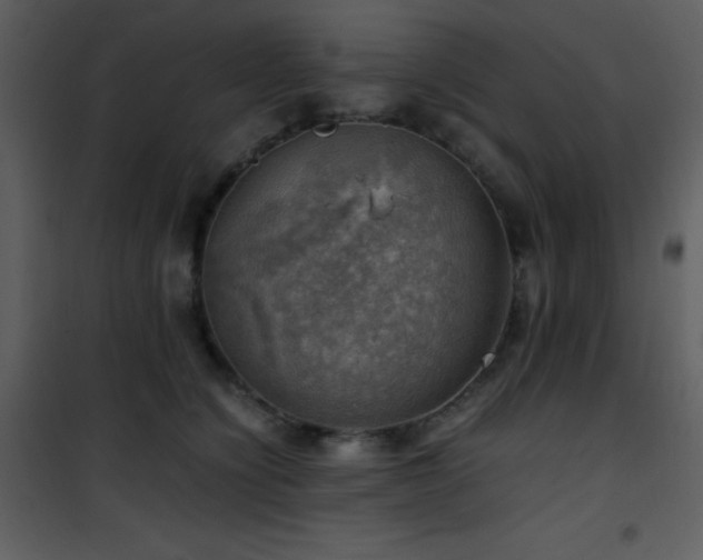 X0000102010564200807181231