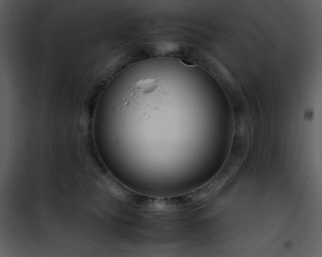 X0000102010565200807181231