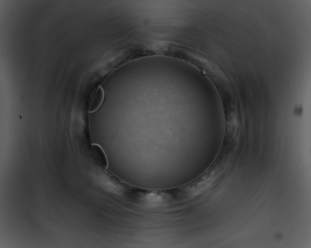 X0000102010566200807181231