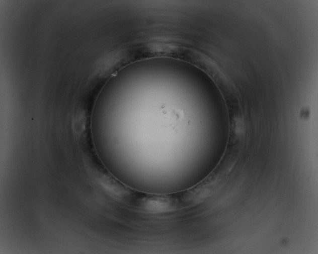 X0000102010567200807181231