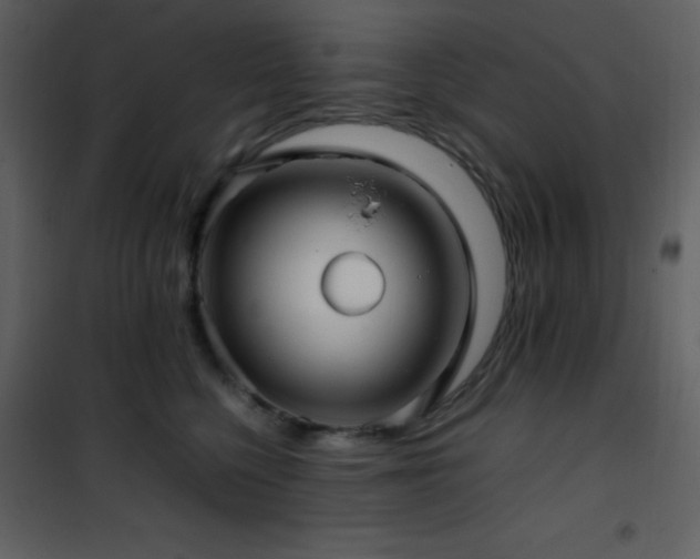 X0000102010568200807181231